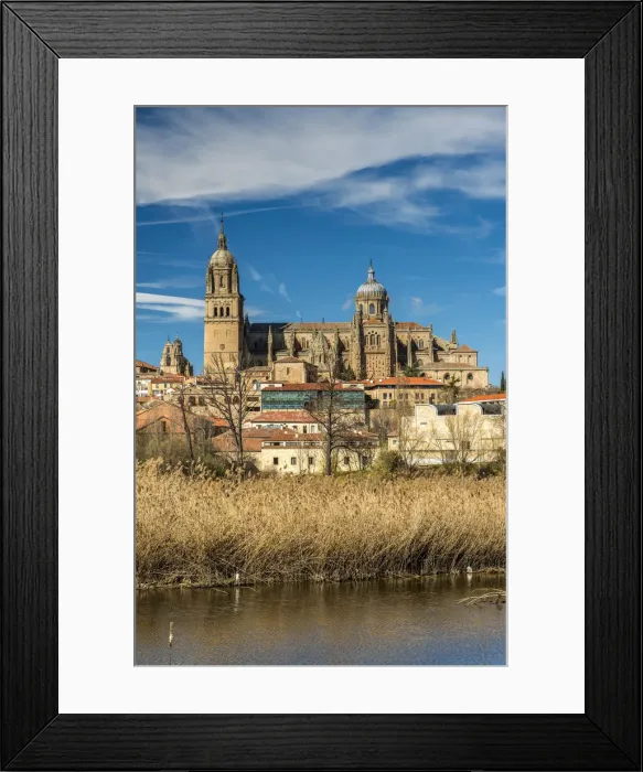 Framed Print : City skyline with the Cathedral, Salamanca, Castile and Leon, Spain Framed Print : City skyline with the Cathedral, Salamanca, Castile and Leon, Spain