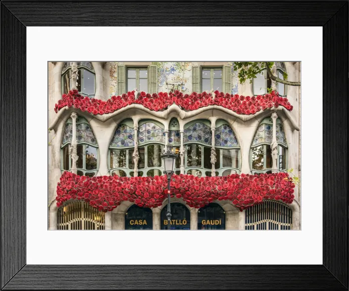 Framed Print : Casa Batllo adorned with roses to celebrate La Diada de Sant Jordi or Saint Georges Day Framed Print : Casa Batllo adorned with roses to celebrate La Diada de Sant Jordi or Saint Georges Day