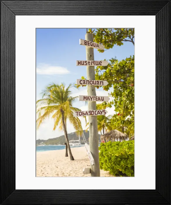Framed Print : St Vincent and The Grenadines, Palm Island Framed Print : St Vincent and The Grenadines, Palm Island