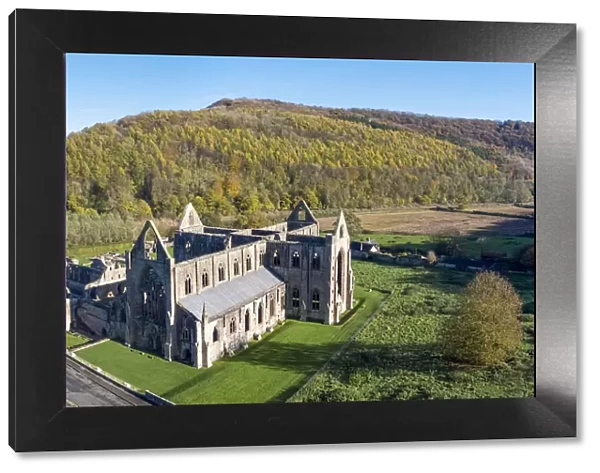 Tintern Abbey, Tintern, Wye Valley, Monmouthshire, Wales, United Kingdom