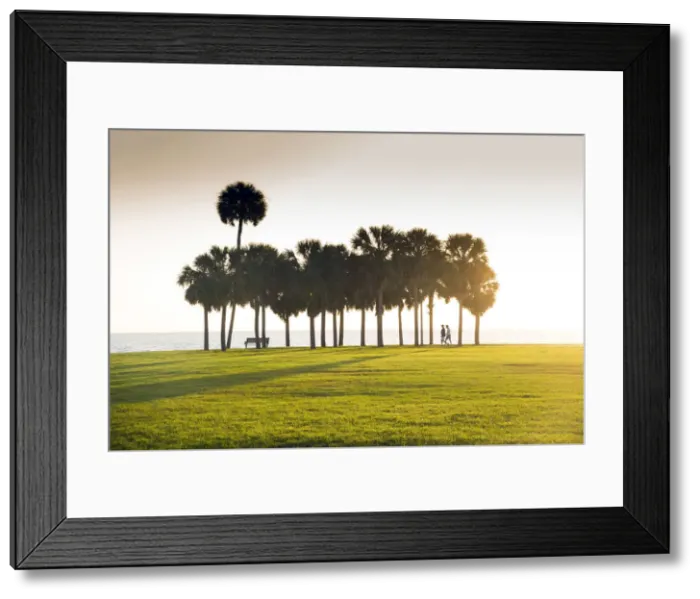 Framed Print : Florida, Saint Petersburg, Pinellas County, Sunrise, Vinoy Park, Waterfront, Tampa Bay Framed Print : Florida, Saint Petersburg, Pinellas County, Sunrise, Vinoy Park, Waterfront, Tampa Bay