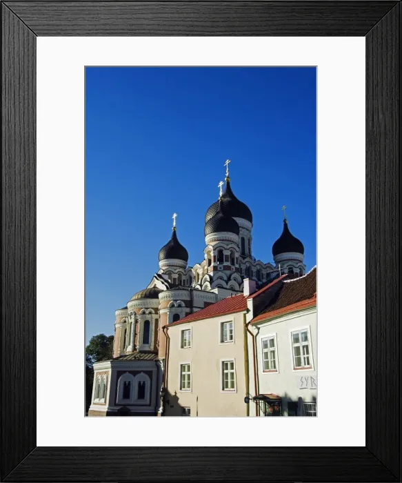 Framed Print : 19th Century Russian Orthodox Alexander Nevsky Cathedral Framed Print : 19th Century Russian Orthodox Alexander Nevsky Cathedral