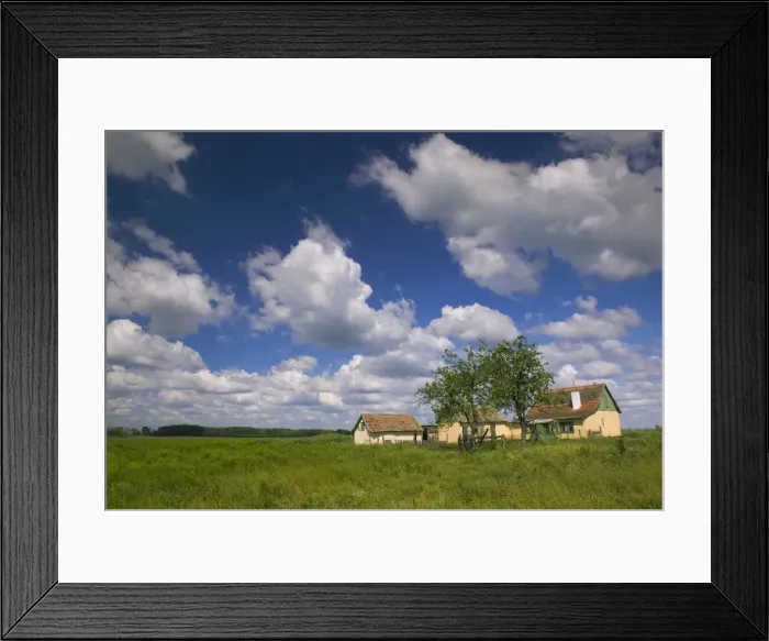 Framed Print : Naja, Great Plain Framed Print : Naja, Great Plain