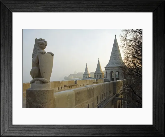 Framed Print : Fishermans Bastion, Gargoyles Framed Print : Fishermans Bastion, Gargoyles