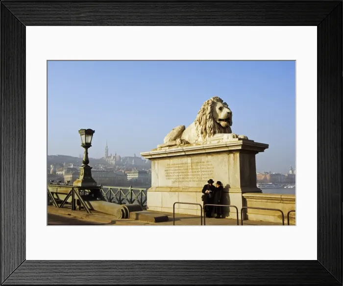 Framed Print : Lion statue on Chain Bridge Framed Print : Lion statue on Chain Bridge