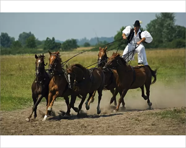 Hungarian Cowboy Horse Show