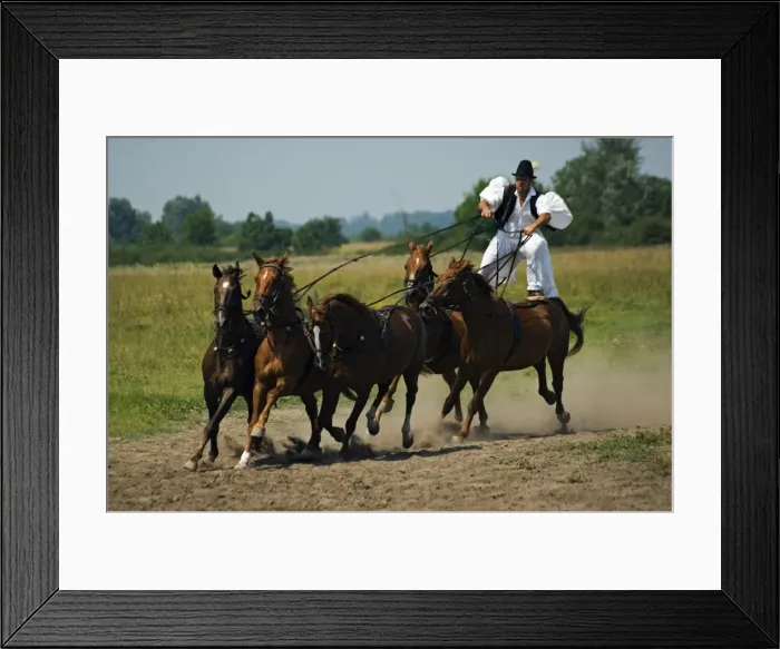 Framed Print : Hungarian Cowboy Horse Show Framed Print : Hungarian Cowboy Horse Show