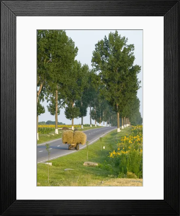 Framed Print : Horse & cart, Moldavia, Romania Framed Print : Horse & cart, Moldavia, Romania