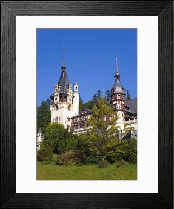 Framed Print : Royal Palace Framed Print : Royal Palace