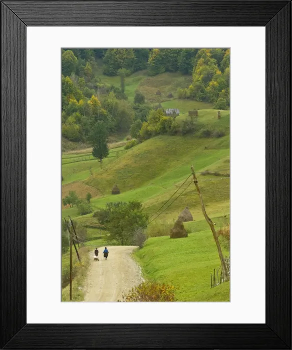 Framed Print : Romania, Maramures Framed Print : Romania, Maramures