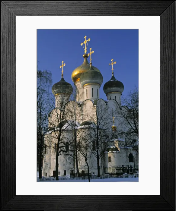 Framed Print : Novodevichy Convent Framed Print : Novodevichy Convent