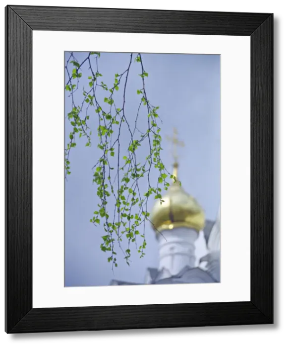 Framed Print : Savvino-Storozhevsky monastery, Zvenigorod, Moscow region, Russia