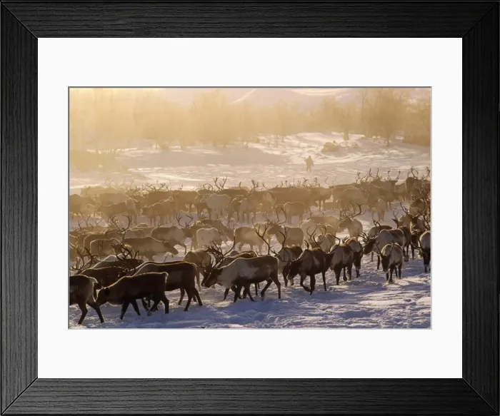 Framed Print : Russia, Kamchakta Framed Print : Russia, Kamchakta