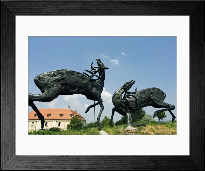 Framed Print : Statue of Deer inside Petrovaradin Citadel Framed Print : Statue of Deer inside Petrovaradin Citadel