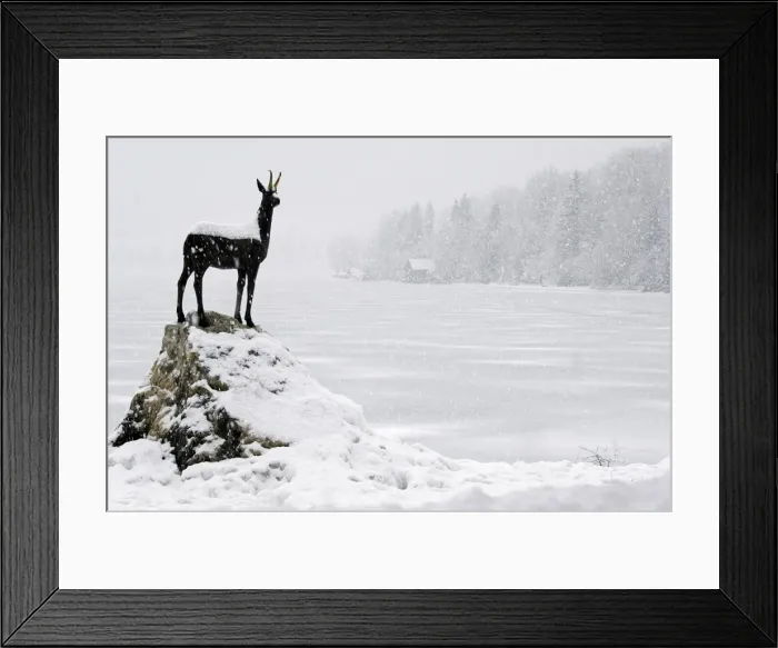 Framed Print : Bronze statue of Slovenian Antelope in Framed Print : Bronze statue of Slovenian Antelope in