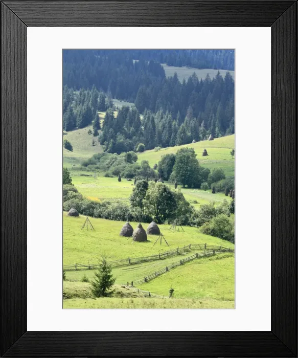Framed Print : Landscape, Carpathians, Zakarpattia Oblast, Transcarpathia, Ukraine Framed Print : Landscape, Carpathians, Zakarpattia Oblast, Transcarpathia, Ukraine