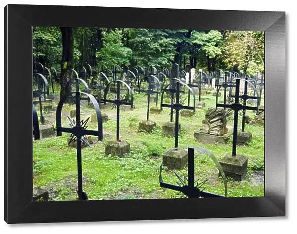 Lychakiv Cemetery Gravestones
