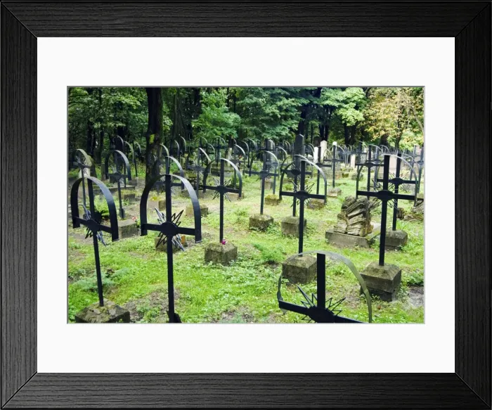 Framed Print : Lychakiv Cemetery Gravestones Framed Print : Lychakiv Cemetery Gravestones