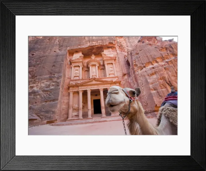 Framed Print : The Treasury (Al Khazneh) Framed Print : The Treasury (Al Khazneh)