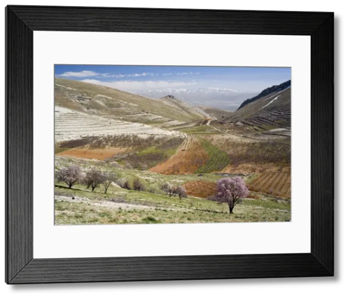 Framed Print : Niha, Bekaa valley, Lebanon Framed Print : Niha, Bekaa valley, Lebanon
