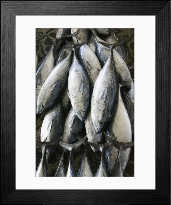 Framed Print : Oman, Muscat, Mutrah, Mutrah Fish Market- Fish from the Arabian Gulf
