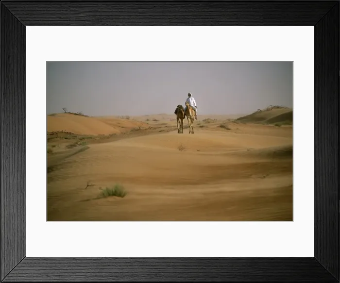 Framed Print : A Bedu rides his camel amongst the sand dunes in the desert Framed Print : A Bedu rides his camel amongst the sand dunes in the desert