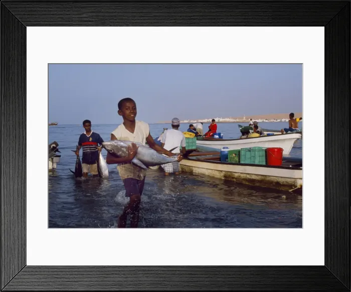 Framed Print : Fishermen off-load their catch onto the beach at Sur Framed Print : Fishermen off-load their catch onto the beach at Sur