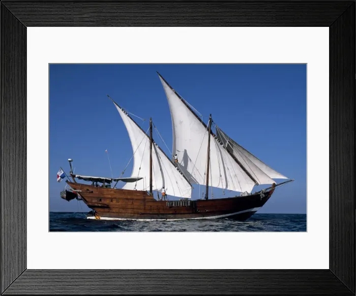Framed Print : S / Y Sanjeeda Framed Print : S / Y Sanjeeda