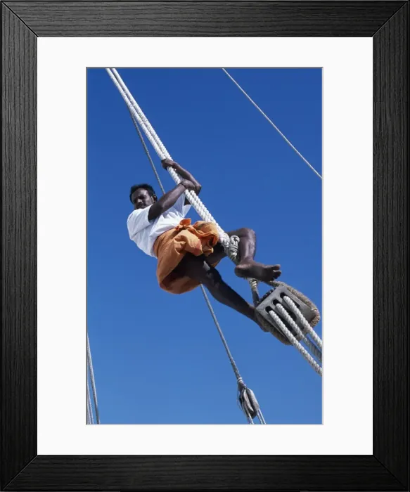 Framed Print : One of the crew members ofs / Y Sanjeeda up the rigging Framed Print : One of the crew members ofs / Y Sanjeeda up the rigging