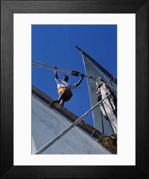 Framed Print : One of the crew members ofs / Y Sanjeeda up the rigging Framed Print : One of the crew members ofs / Y Sanjeeda up the rigging