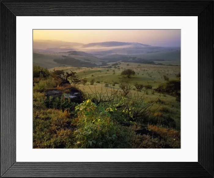 Framed Print : Dawn and mist in valley near Zeak Framed Print : Dawn and mist in valley near Zeak