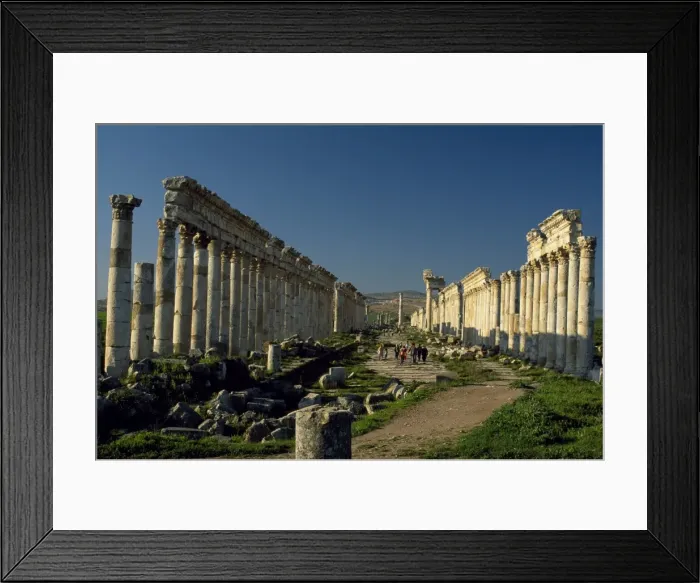 Framed Print : The carbo maximus Framed Print : The carbo maximus