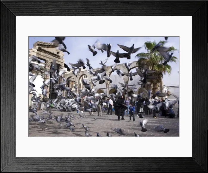 Framed Print : Feeding the pigeons in front of the remains of Framed Print : Feeding the pigeons in front of the remains of
