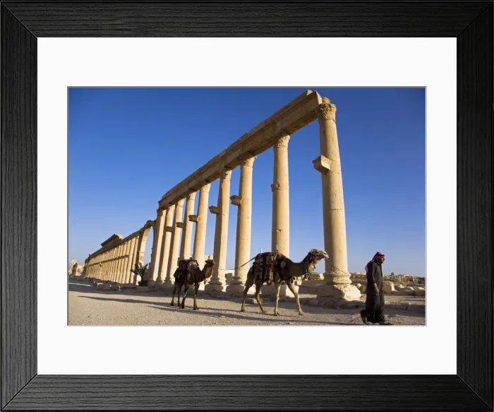 Framed Print : The spectacular ruined city of Palmyra, Syria Framed Print : The spectacular ruined city of Palmyra, Syria