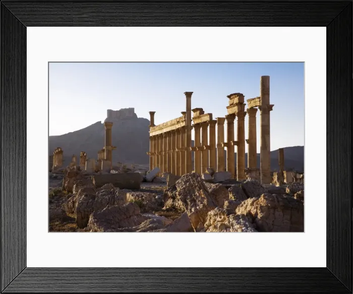 Framed Print : An Arab fortress stands over the spectacular ruined city of Palmyra Framed Print : An Arab fortress stands over the spectacular ruined city of Palmyra