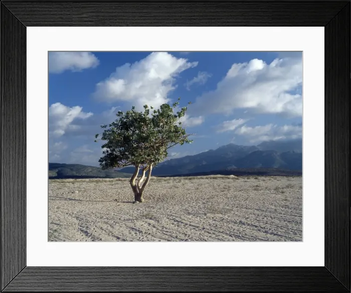 Framed Print : The stark beauty of the landscape near Dileesa Framed Print : The stark beauty of the landscape near Dileesa