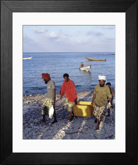 Framed Print : Fishermen bring in their catch at Sekra Framed Print : Fishermen bring in their catch at Sekra