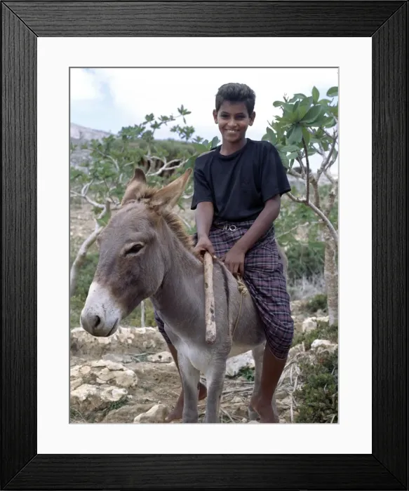 Framed Print : A boy rides home after school on a donkey in the Homhil Mountains Framed Print : A boy rides home after school on a donkey in the Homhil Mountains