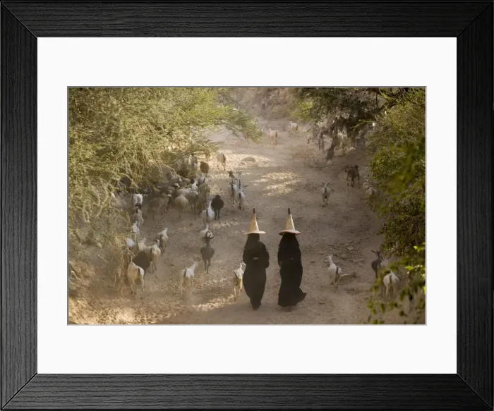 Framed Print : Goat herder, Al Wadi Dawan, nr Wadi Hadhramawt, Yemen