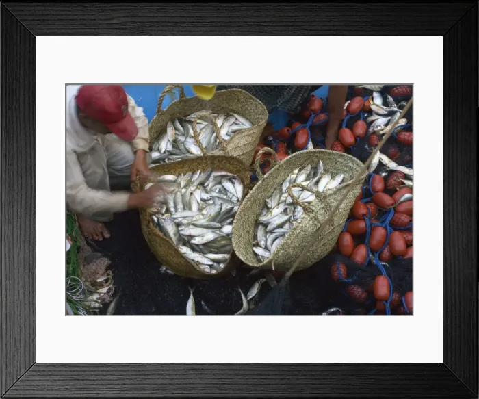 Framed Print : Fish market Framed Print : Fish market
