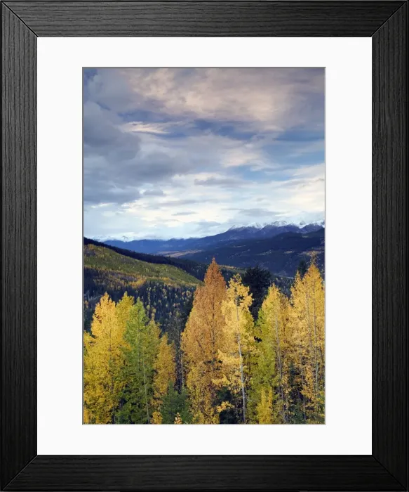 Framed Print : Rogers Pass, Glacier National Park, British Columbia, Canada Framed Print : Rogers Pass, Glacier National Park, British Columbia, Canada