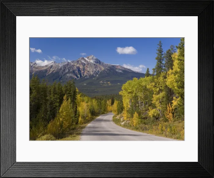 Framed Print : Autumn colours lining the road from Jasper to Maligne lake