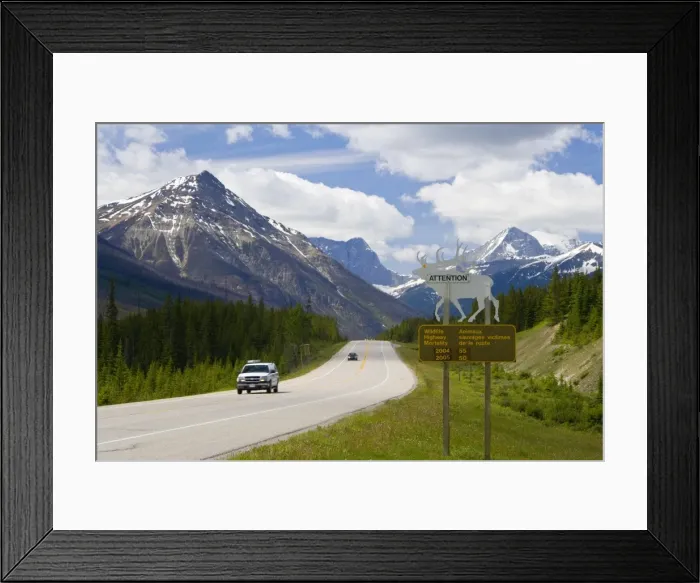 Framed Print : Road, Yoho National Park, British Columbia, Canada Framed Print : Road, Yoho National Park, British Columbia, Canada