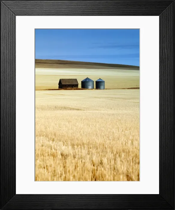 Framed Print : Grain Barn, Rosebud, Alberta, Canada Framed Print : Grain Barn, Rosebud, Alberta, Canada