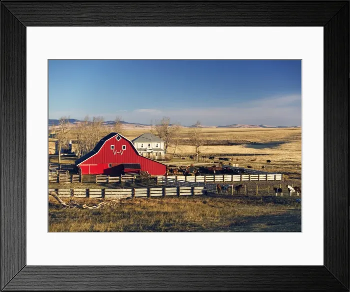 Framed Print : Red Barn, Pincher Creek, Alberta, Canada Framed Print : Red Barn, Pincher Creek, Alberta, Canada