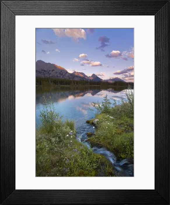 Framed Print : Peter Lougheed Provincial Park Framed Print : Peter Lougheed Provincial Park