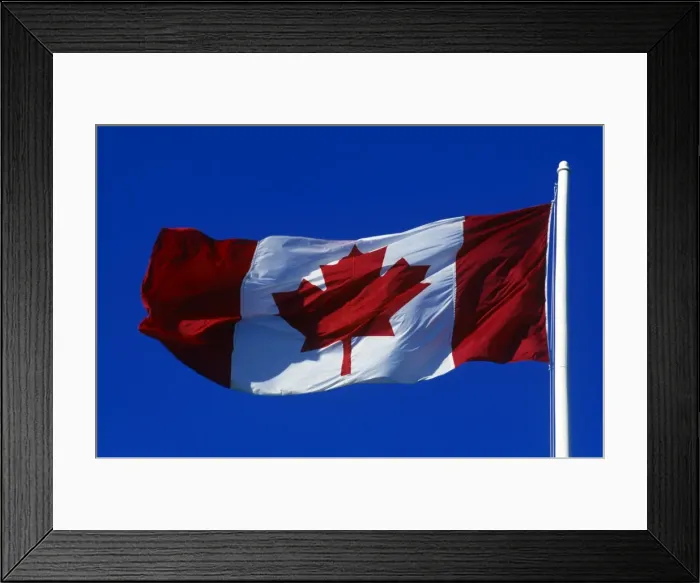 Framed Print : The Canadian Flag Framed Print : The Canadian Flag