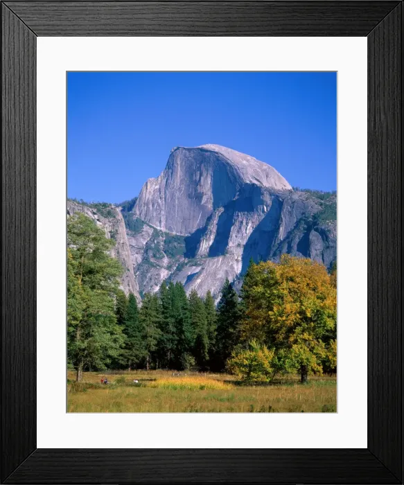 Framed Print : Yosemite National Park / Half Dome & Autumn Leaves, California, USA Framed Print : Yosemite National Park / Half Dome & Autumn Leaves, California, USA
