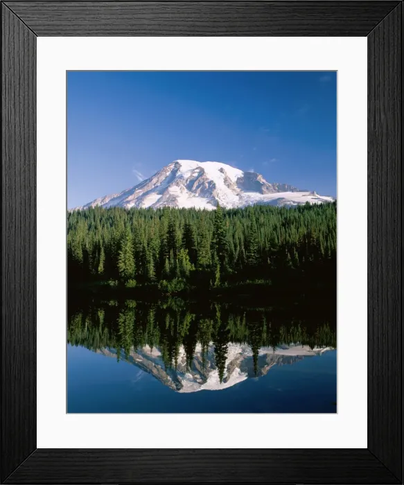 Framed Print : Mount Rainier National Park / Mount Rainier with Snow Framed Print : Mount Rainier National Park / Mount Rainier with Snow