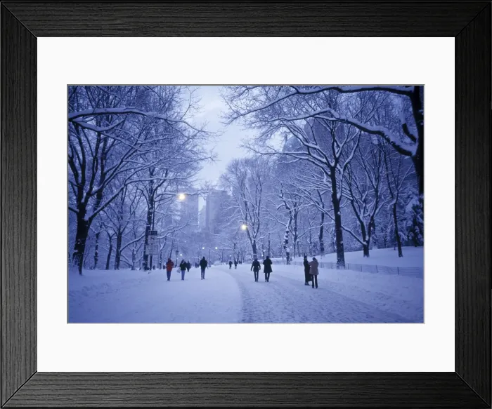 Framed Print : Central Park Framed Print : Central Park